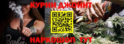 сатива Новокубанск