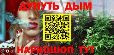 сатива Новокубанск