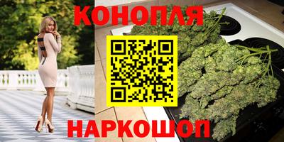 сатива Новокубанск
